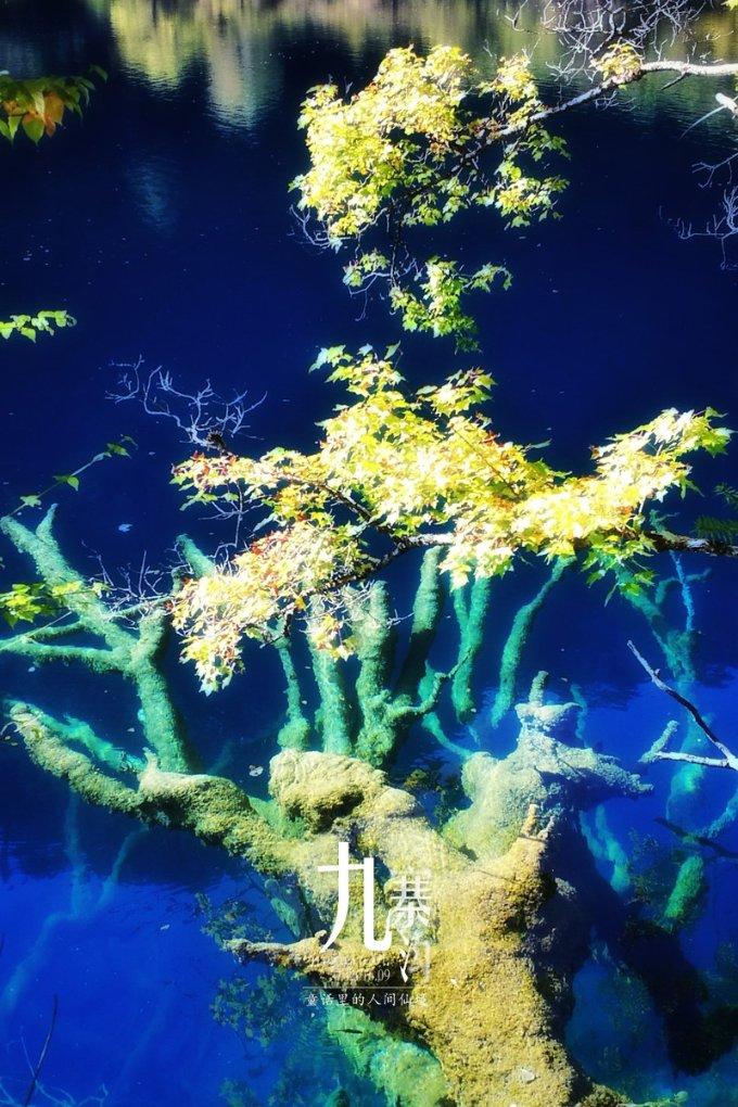 星际穿梭